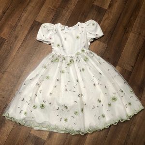 Spring Embroidered Floral Organza Dress